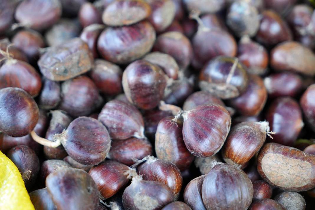 Eskiden her eve girerdi, şimdi lüks oldu! Kışın vazgeçilmezine artık ilgi yok 10